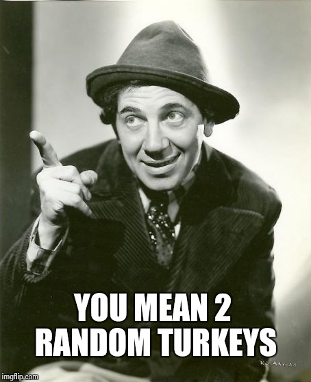 Chico Marx | YOU MEAN 2 RANDOM TURKEYS | image tagged in chico marx | made w/ Imgflip meme maker