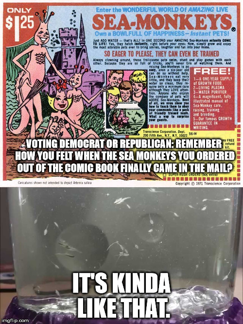 VOTING DEMOCRAT OR REPUBLICAN: REMEMBER HOW YOU FELT WHEN THE SEA MONKEYS YOU ORDERED OUT OF THE COMIC BOOK FINALLY CAME IN THE MAIL? IT'S KINDA LIKE THAT. | image tagged in sea monkeys,democrats,republicans | made w/ Imgflip meme maker