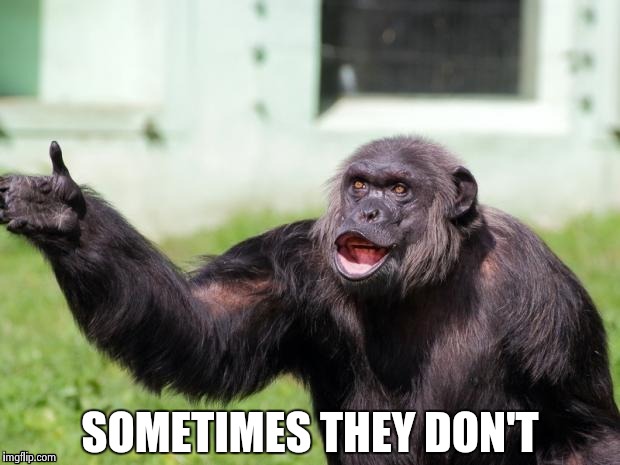 Gorilla your dreams | SOMETIMES THEY DON'T | image tagged in gorilla your dreams | made w/ Imgflip meme maker