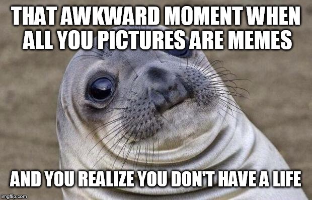 Just looked through my pictures... | THAT AWKWARD MOMENT WHEN ALL YOU PICTURES ARE MEMES; AND YOU REALIZE YOU DON'T HAVE A LIFE | image tagged in memes,awkward moment sealion | made w/ Imgflip meme maker
