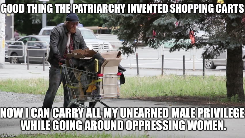 GOOD THING THE PATRIARCHY INVENTED SHOPPING CARTS; NOW I CAN CARRY ALL MY UNEARNED MALE PRIVILEGE WHILE GOING AROUND OPPRESSING WOMEN. | image tagged in male privilege | made w/ Imgflip meme maker