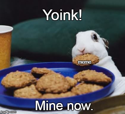 Yoink! Mine now. | Yoink! meme; Mine now. | image tagged in yoink,mine,now,rabbit,bunny | made w/ Imgflip meme maker