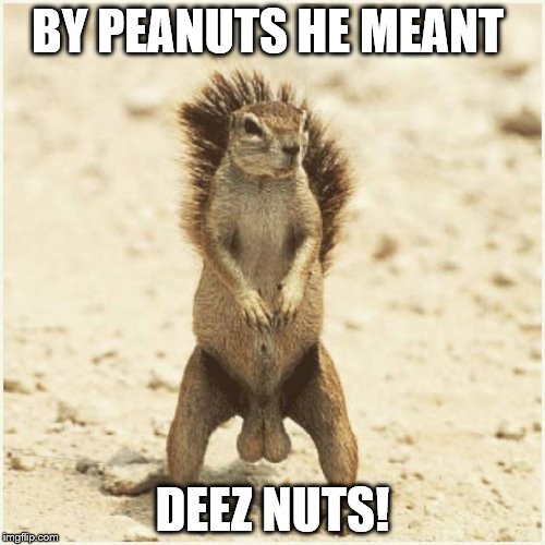 DEEZ NUTS | BY PEANUTS HE MEANT; DEEZ NUTS! | image tagged in deez nuts | made w/ Imgflip meme maker