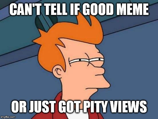 I really can't tell XD | CAN'T TELL IF GOOD MEME; OR JUST GOT PITY VIEWS | image tagged in memes,futurama fry | made w/ Imgflip meme maker
