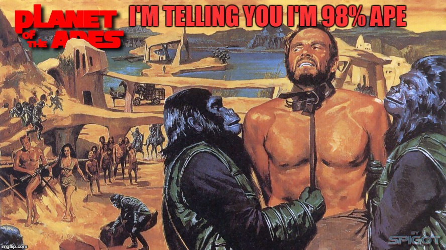 Planet of the apes | I'M TELLING YOU I'M 98% APE | image tagged in planet of the apes | made w/ Imgflip meme maker