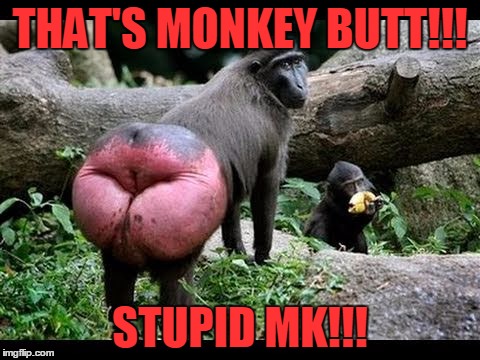 monkey butt | THAT'S MONKEY BUTT!!! STUPID MK!!! | image tagged in monkey,stupid | made w/ Imgflip meme maker