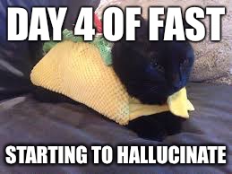 Taco Cat | DAY 4 OF FAST; STARTING TO HALLUCINATE | image tagged in taco cat | made w/ Imgflip meme maker