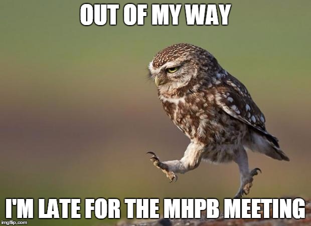omwowl | OUT OF MY WAY; I'M LATE FOR THE MHPB MEETING | image tagged in omwowl | made w/ Imgflip meme maker