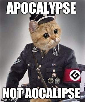 grammar nazi cat | APOCALYPSE NOT AOCALIPSE | image tagged in grammar nazi cat | made w/ Imgflip meme maker