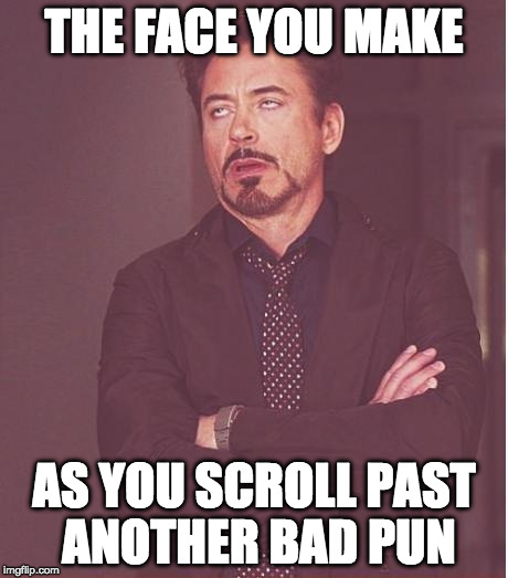 Face You Make Robert Downey Jr Meme | THE FACE YOU MAKE; AS YOU SCROLL PAST ANOTHER BAD PUN | image tagged in memes,face you make robert downey jr | made w/ Imgflip meme maker