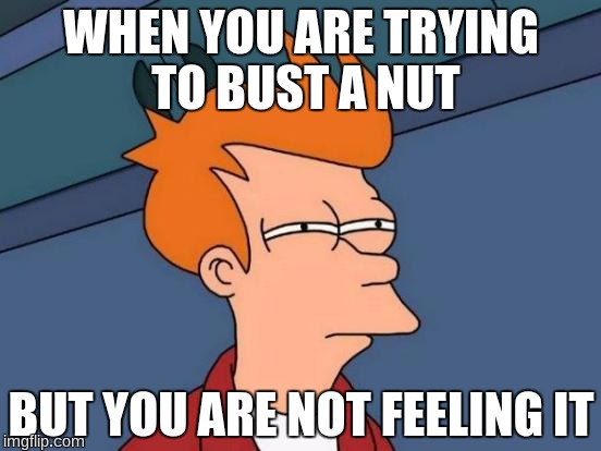 Futurama Fry | WHEN YOU ARE TRYING TO BUST A NUT; BUT YOU ARE NOT FEELING IT | image tagged in memes,futurama fry | made w/ Imgflip meme maker