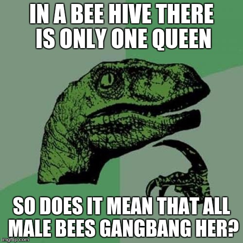 Philosoraptor | IN A BEE HIVE THERE IS ONLY ONE QUEEN; SO DOES IT MEAN THAT ALL MALE BEES GANGBANG HER? | image tagged in memes,philosoraptor | made w/ Imgflip meme maker