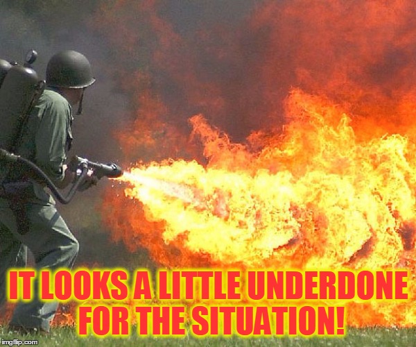 Flamethrower | IT LOOKS A LITTLE UNDERDONE FOR THE SITUATION! | image tagged in flamethrower | made w/ Imgflip meme maker