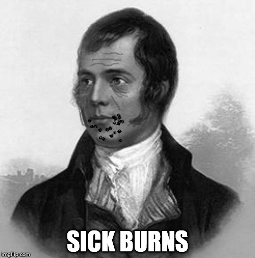 sick robbie burns is sick |  SICK BURNS | image tagged in sick,burn,burns,rip | made w/ Imgflip meme maker