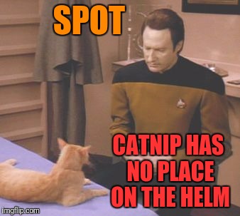 SPOT CATNIP HAS NO PLACE ON THE HELM | made w/ Imgflip meme maker