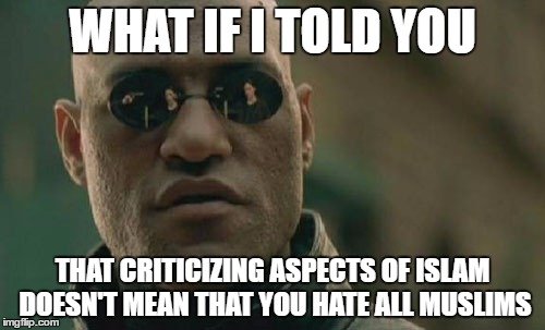 Matrix Morpheus Meme | WHAT IF I TOLD YOU; THAT CRITICIZING ASPECTS OF ISLAM DOESN'T MEAN THAT YOU HATE ALL MUSLIMS | image tagged in memes,matrix morpheus,AdviceAnimals | made w/ Imgflip meme maker