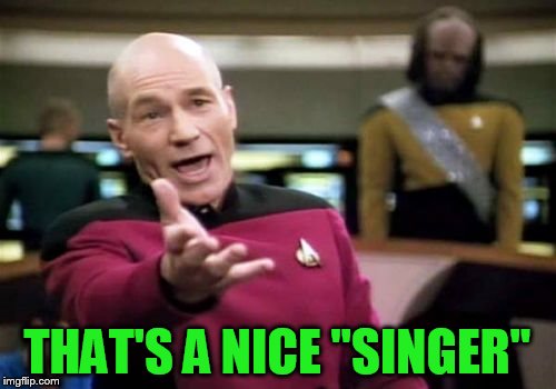 Picard Wtf Meme | THAT'S A NICE ''SINGER'' | image tagged in memes,picard wtf | made w/ Imgflip meme maker