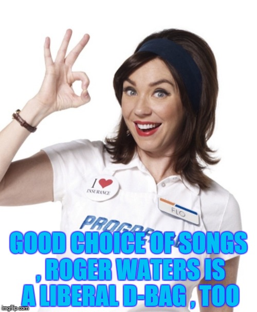 GOOD CHOICE OF SONGS , ROGER WATERS IS A LIBERAL D-BAG , TOO | image tagged in flo from progressive | made w/ Imgflip meme maker