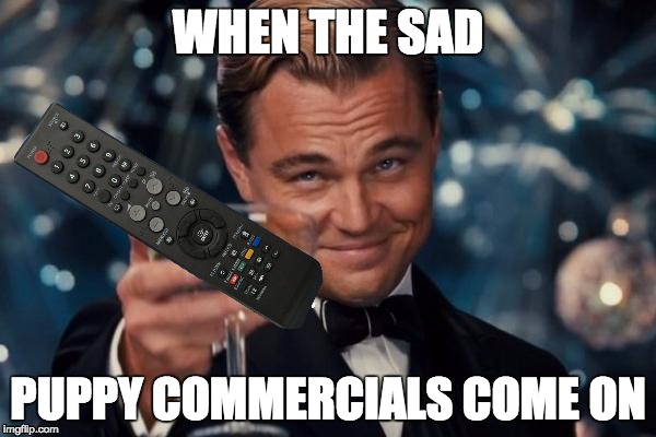 Sad Puppy Commercials | WHEN THE SAD; PUPPY COMMERCIALS COME ON | image tagged in memes,leonardo dicaprio cheers,tv,sad puppy,sad,puppy | made w/ Imgflip meme maker