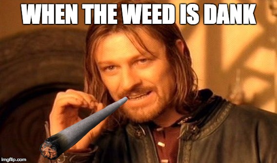One Does Not Simply Meme | WHEN THE WEED IS DANK | image tagged in memes,one does not simply,dank,weed | made w/ Imgflip meme maker