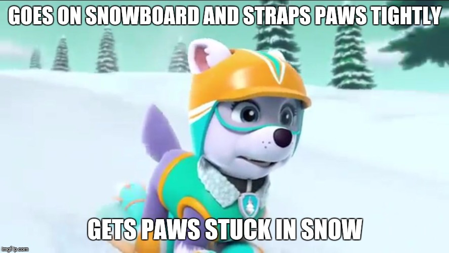 Bad Luck Everest | GOES ON SNOWBOARD AND STRAPS PAWS TIGHTLY; GETS PAWS STUCK IN SNOW | image tagged in bad luck everest | made w/ Imgflip meme maker