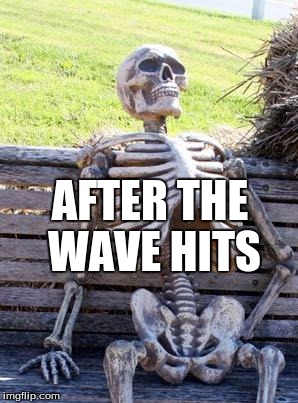 Waiting Skeleton Meme | AFTER THE WAVE HITS | image tagged in memes,waiting skeleton | made w/ Imgflip meme maker