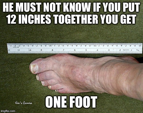 Common Sense | HE MUST NOT KNOW IF YOU PUT 12 INCHES TOGETHER YOU GET; ONE FOOT | image tagged in one foot,funny,memes,animals,rainbow,truth | made w/ Imgflip meme maker
