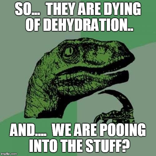 Philosoraptor Meme | SO...  THEY ARE DYING OF DEHYDRATION.. AND....  WE ARE POOING INTO THE STUFF? | image tagged in memes,philosoraptor | made w/ Imgflip meme maker