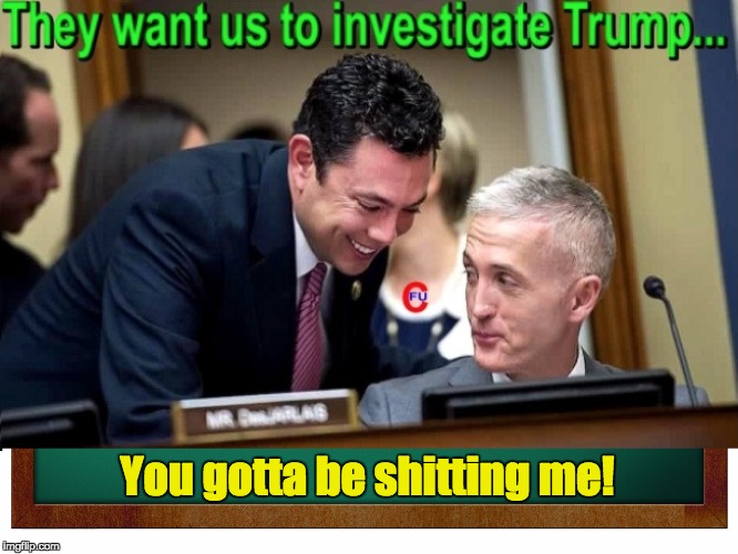 They want us to investigate Trump | You gotta be shitting me! | image tagged in jason chaffetz,trey gowdy,trump | made w/ Imgflip meme maker