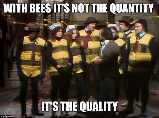 WITH BEES IT'S NOT THE QUANTITY IT'S THE QUALITY | made w/ Imgflip meme maker