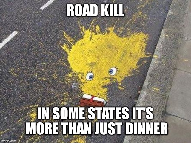 ROAD KILL IN SOME STATES IT'S MORE THAN JUST DINNER | made w/ Imgflip meme maker