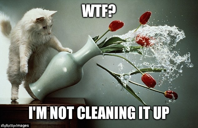 WTF? I'M NOT CLEANING IT UP | made w/ Imgflip meme maker