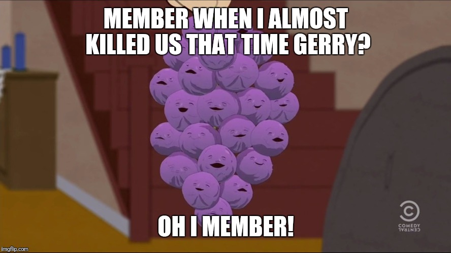 Member Berries | MEMBER WHEN I ALMOST KILLED US THAT TIME GERRY? OH I MEMBER! | image tagged in memes,member berries | made w/ Imgflip meme maker