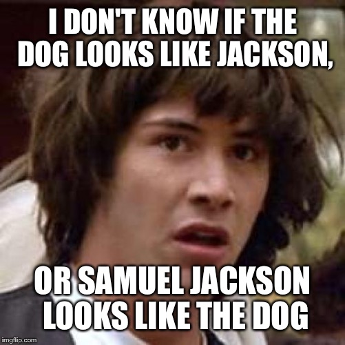 Conspiracy Keanu Meme | I DON'T KNOW IF THE DOG LOOKS LIKE JACKSON, OR SAMUEL JACKSON LOOKS LIKE THE DOG | image tagged in memes,conspiracy keanu | made w/ Imgflip meme maker