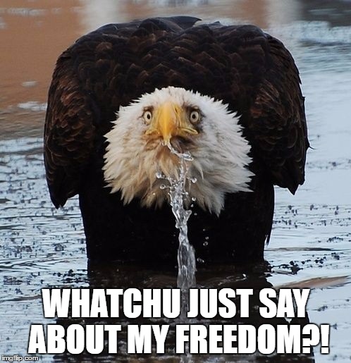 WHATCHU JUST SAY ABOUT MY FREEDOM?! | made w/ Imgflip meme maker
