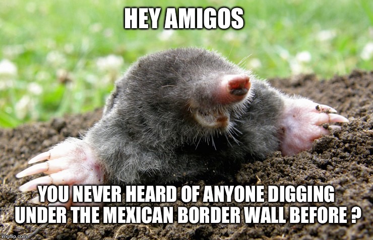 HEY AMIGOS YOU NEVER HEARD OF ANYONE DIGGING UNDER THE MEXICAN BORDER WALL BEFORE ? | made w/ Imgflip meme maker
