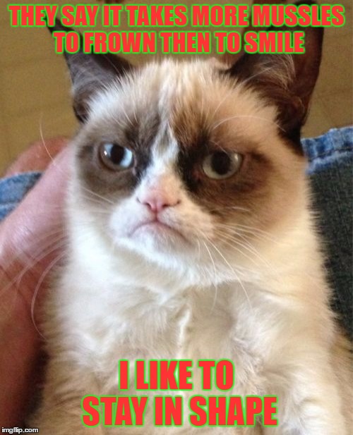 Grumpy Cat | THEY SAY IT TAKES MORE MUSSLES TO FROWN THEN TO SMILE; I LIKE TO STAY IN SHAPE | image tagged in memes,grumpy cat | made w/ Imgflip meme maker
