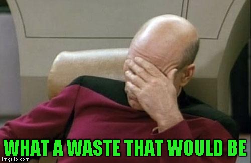 Captain Picard Facepalm Meme | WHAT A WASTE THAT WOULD BE | image tagged in memes,captain picard facepalm | made w/ Imgflip meme maker