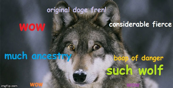 ancestor doge | image tagged in doge,wolf,ancestor,wow,much doge,doggo | made w/ Imgflip meme maker