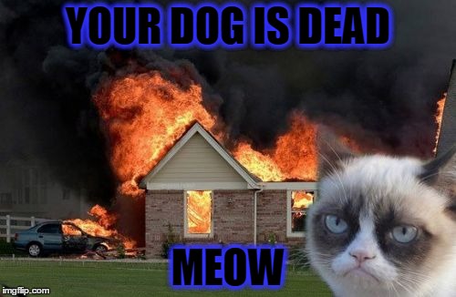 Burn Kitty | YOUR DOG IS DEAD; MEOW | image tagged in memes,burn kitty,grumpy cat | made w/ Imgflip meme maker