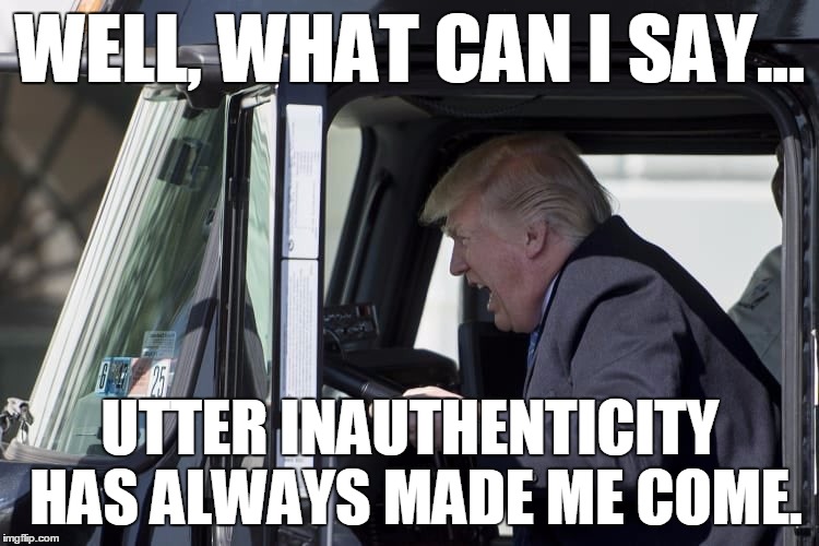 Trump O Face | WELL, WHAT CAN I SAY... UTTER INAUTHENTICITY HAS ALWAYS MADE ME COME. | image tagged in trump | made w/ Imgflip meme maker