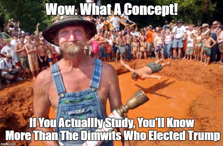 Wow. What A Concept! If You Actuallly Study, You'll Know More Than The Dimwits Who Elected Trump | made w/ Imgflip meme maker