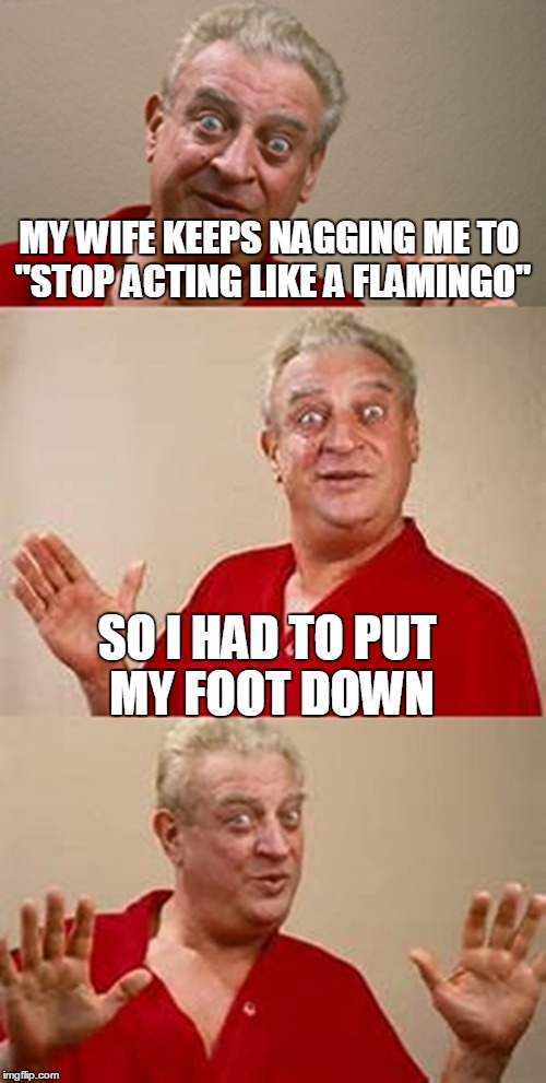 MY WIFE KEEPS NAGGING ME TO "STOP ACTING LIKE A FLAMINGO"; SO I HAD TO PUT MY FOOT DOWN | image tagged in bad pun rodney dangerfield,flamingo | made w/ Imgflip meme maker