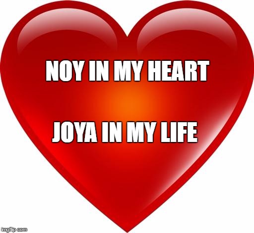 My heart | NOY IN MY HEART; JOYA IN MY LIFE | image tagged in my heart | made w/ Imgflip meme maker