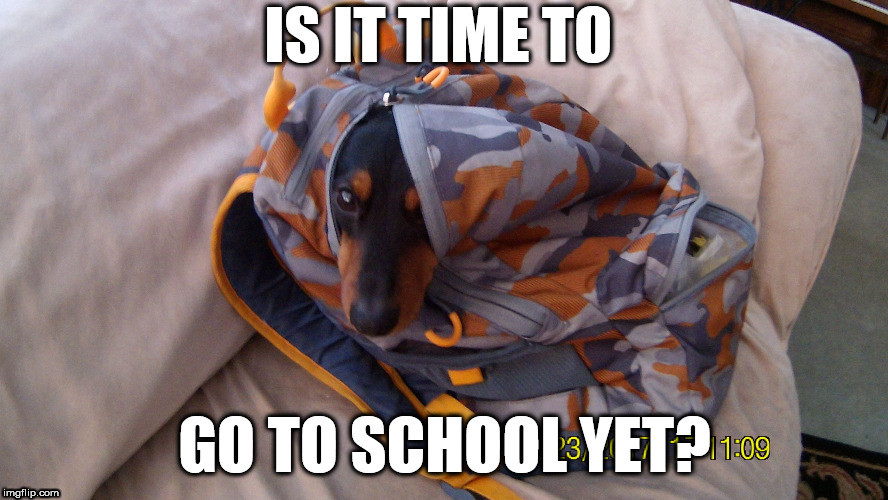 IS IT TIME TO; GO TO SCHOOL YET? | image tagged in nicoinabackpack | made w/ Imgflip meme maker