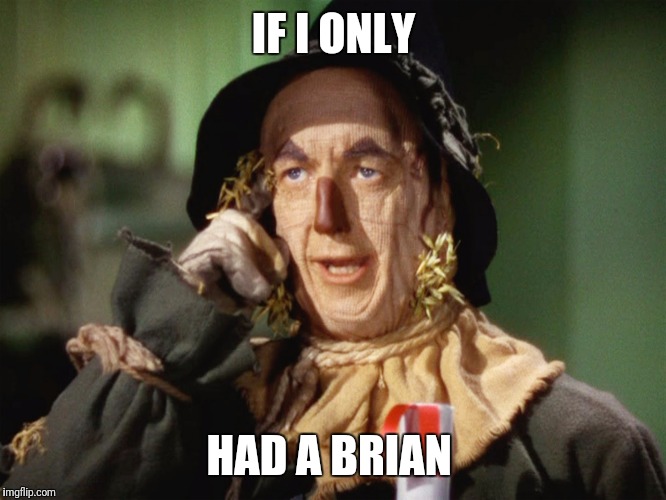 If I Only Had A Brain | IF I ONLY; HAD A BRIAN | image tagged in if i only had a brain | made w/ Imgflip meme maker