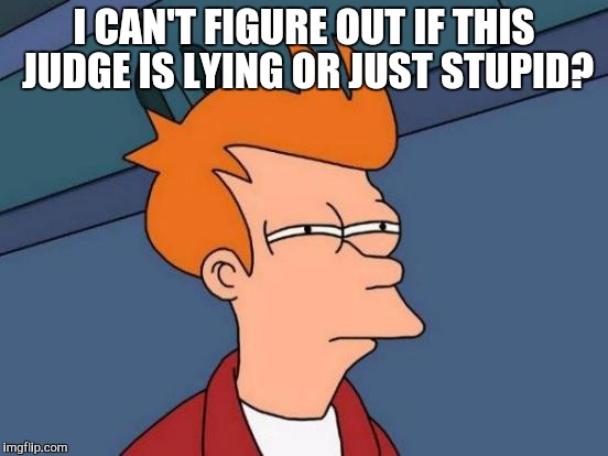 Futurama Fry Meme | I CAN'T FIGURE OUT IF THIS JUDGE IS LYING OR JUST STUPID? | image tagged in memes,futurama fry | made w/ Imgflip meme maker