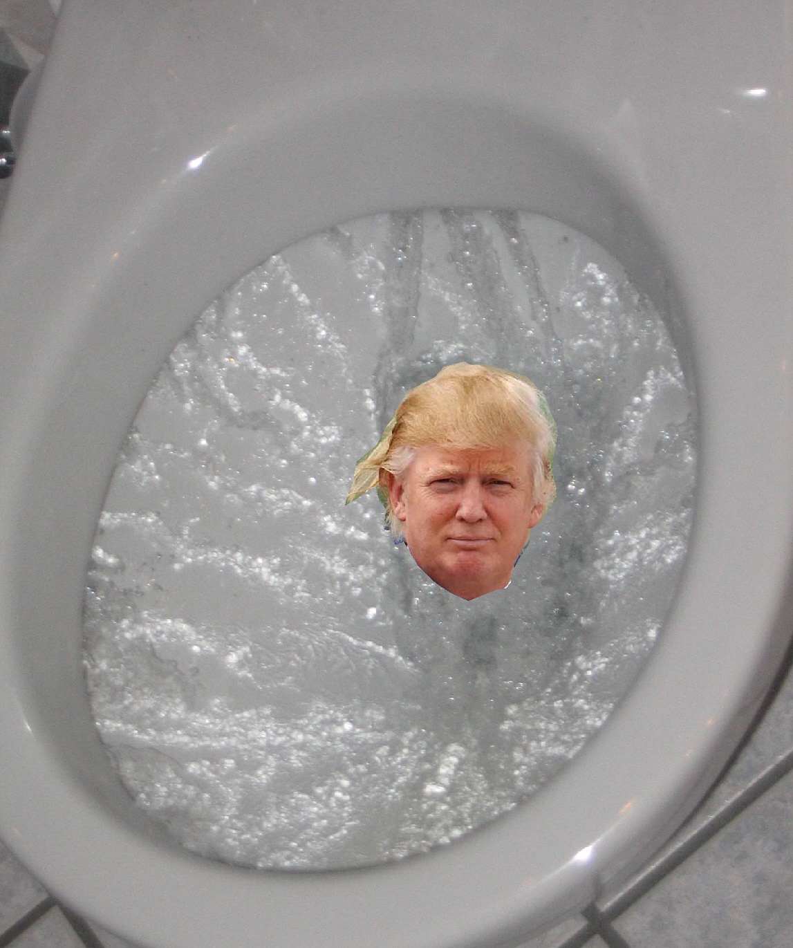 High Quality ToiletTrump Blank Meme Template