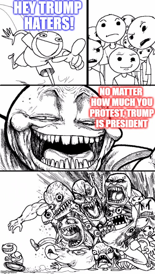 Just accept it already! | HEY TRUMP HATERS! NO MATTER HOW MUCH YOU PROTEST, TRUMP IS PRESIDENT | image tagged in memes,hey internet | made w/ Imgflip meme maker