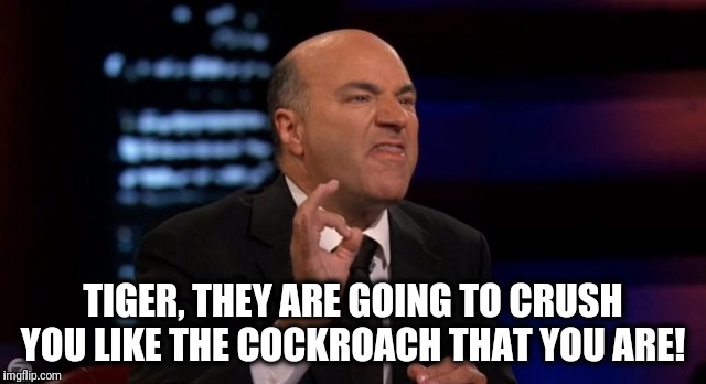 Shark Tank Tiger Cockroach | TIGER, THEY ARE GOING TO CRUSH YOU LIKE THE COCKROACH THAT YOU ARE! | image tagged in tiger woods,shark tank,kevin o'leary,pga tour,golf,cockroach | made w/ Imgflip meme maker